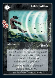 item 8