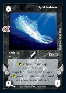 item 8