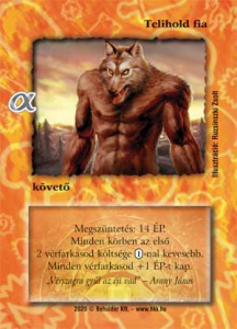 item 8